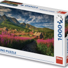 Puzzle - Dino - Gaseinicova dolina