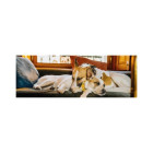 Puzzle - Dino - Gump na gauči