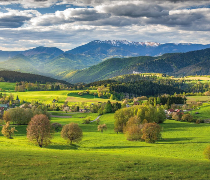 Puzzle - Dino - Jaro nad Povrazníkem