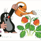 Puzzle - Dino - Krtek