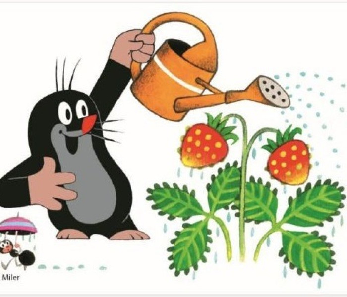 Puzzle - Dino - Krtek