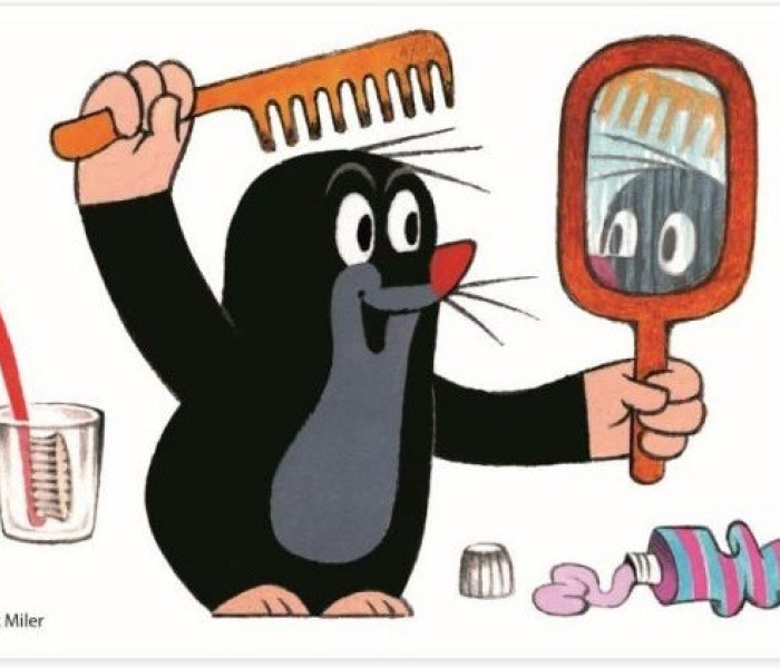 Puzzle - Dino - Krtek