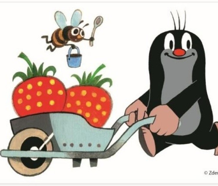 Puzzle - Dino - Krtek