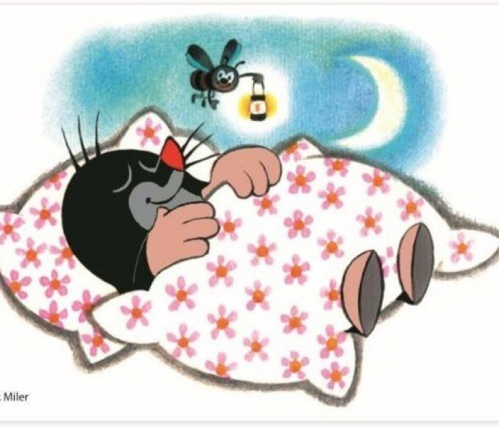 Puzzle - Dino - Krtek