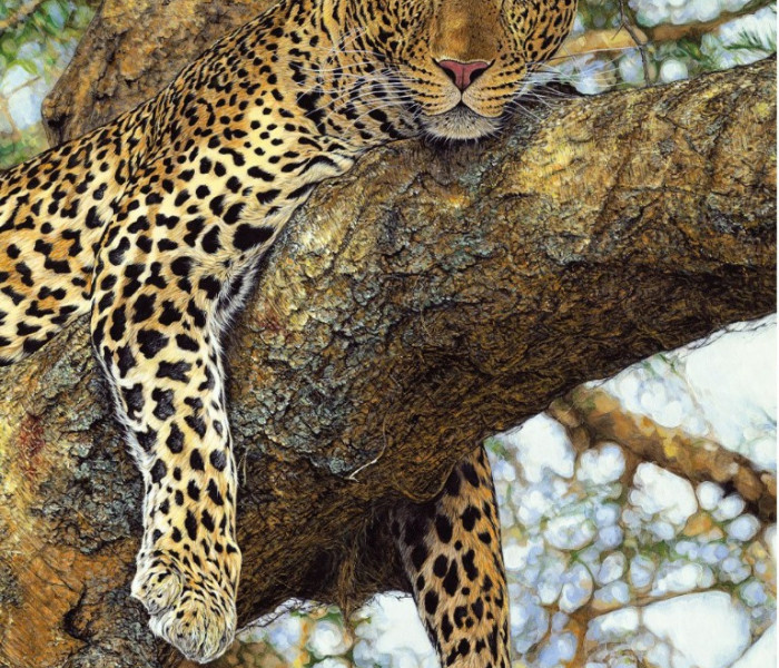 Puzzle - Dino - Levhart