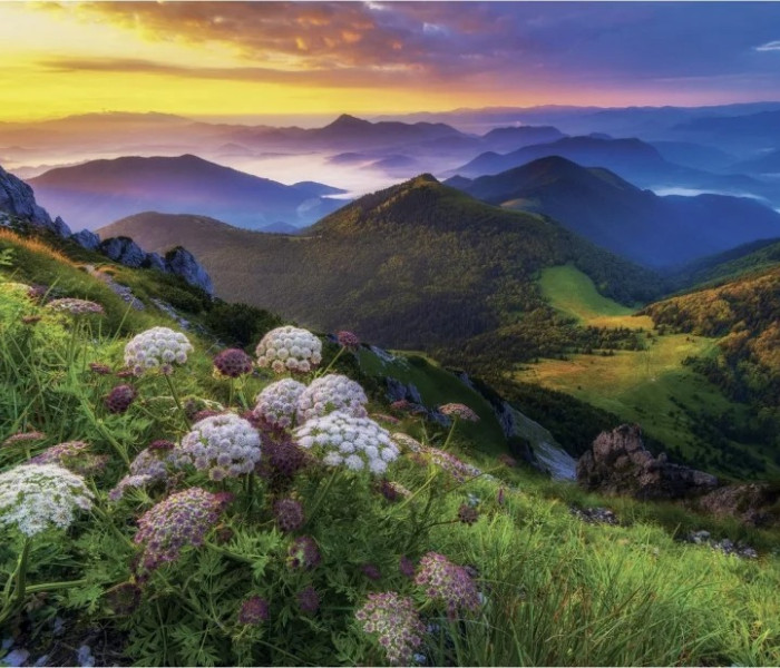 Puzzle - Dino - Malá Fatra