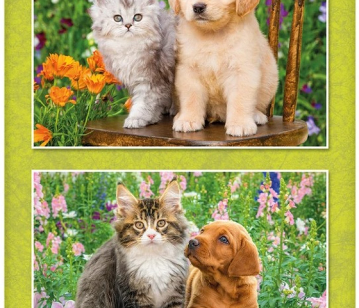 Puzzle - Dino - Pejsek a kočička na zahradě