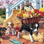 Puzzle - Dino - Štěňata secret collection