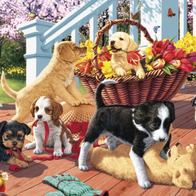 Štěňata secret collection