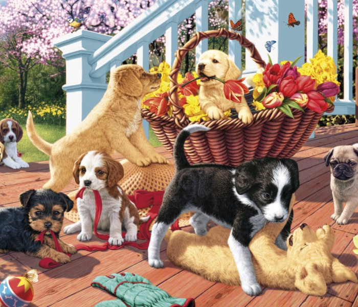 Puzzle - Dino - Štěňata secret collection