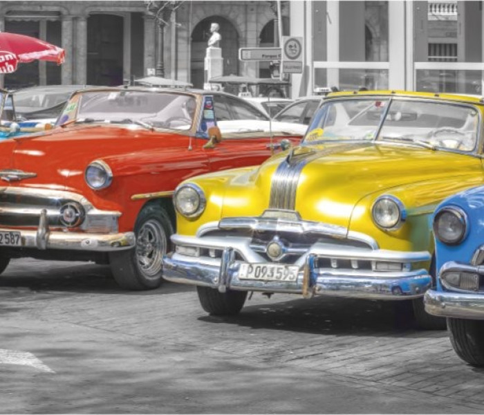 Puzzle - Dino - Sraz bouráků - Panoramatické puzzle