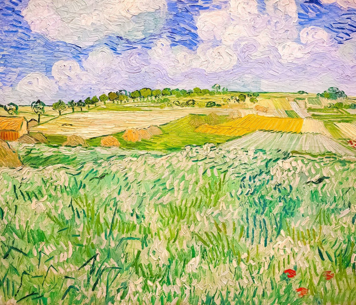 Puzzle - Enjoy - Krajina u Auvers