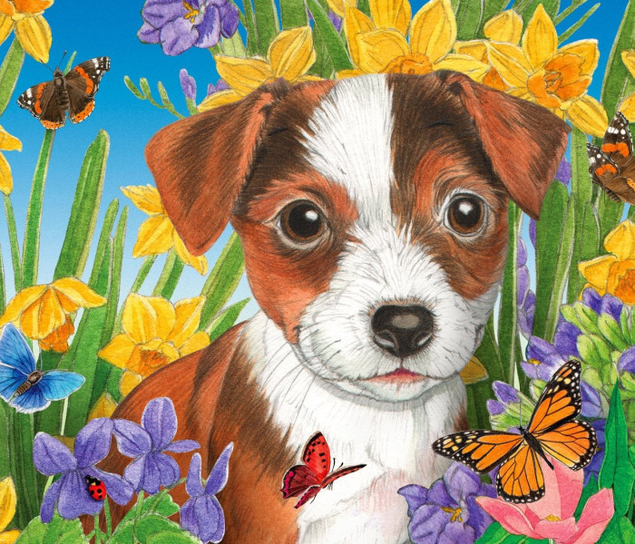 Puzzle - Enjoy - Štěňátka v zahradě