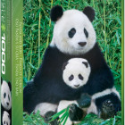 Puzzle - Eurographics - Panda a mládě