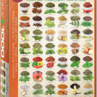 Puzzle - Eurographics - Bylinky a koření