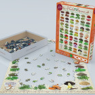 Puzzle - Eurographics - Bylinky a koření