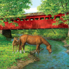 Puzzle - Eurographics - Most u Sweet Water