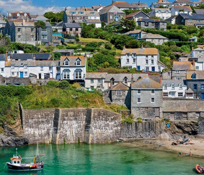 Puzzle - Falcon - Port Isaac, Cornwall