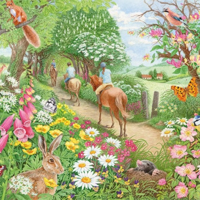 Odpolední vyjížďka