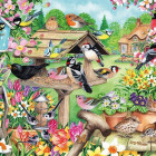 Puzzle - Falcon - Ptáci na jarní zahradě