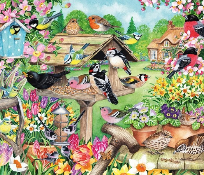 Puzzle - Falcon - Ptáci na jarní zahradě