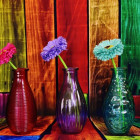 Puzzle - Grafika - Barevné vázy s květinami