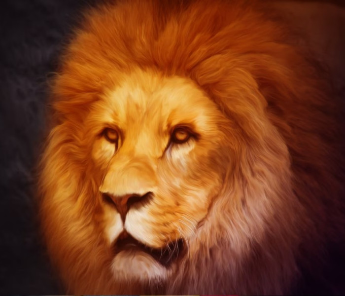 Puzzle - Grafika - Lev