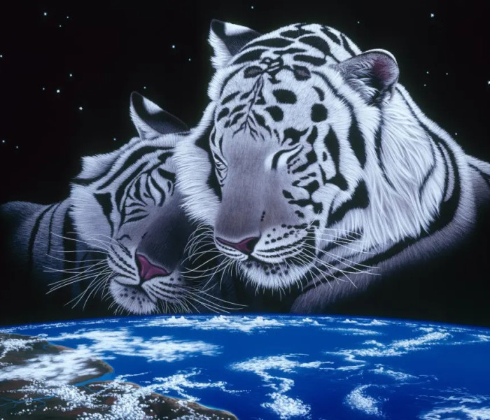 Puzzle - Grafika - Pokojne spi