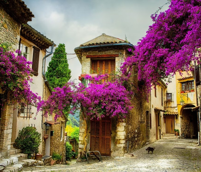 Puzzle - Grafika - Provence, Francie