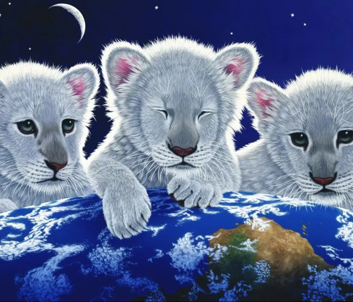 Puzzle - Grafika - Tajemství a naděje