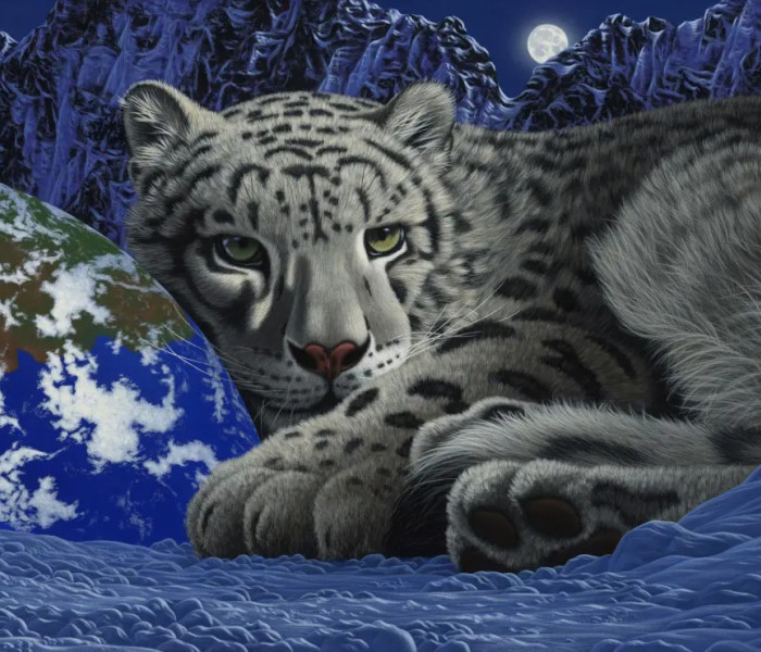 Puzzle - Grafika - Teplo domova