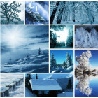 Puzzle - Grafika - Zimní koláž