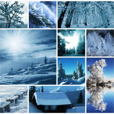 Zimní koláž