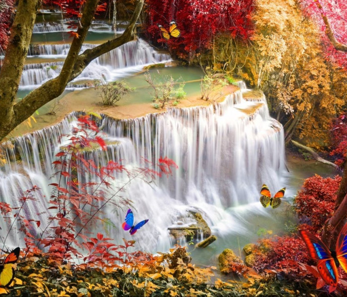 Puzzle - Grafika - Vodopád v hlubokém lese