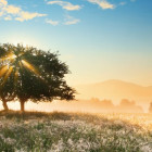 Puzzle - Heye - Hra světla - Panoramatické puzzle