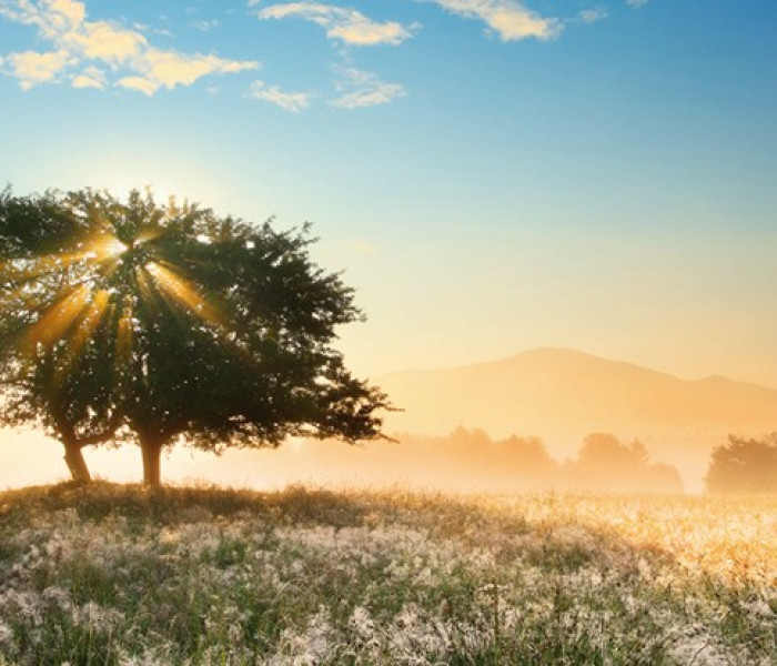 Puzzle - Heye - Hra světla - Panoramatické puzzle