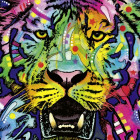 Puzzle - Heye - Divoký tygr