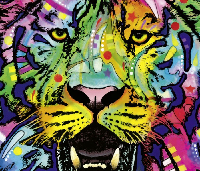 Puzzle - Heye - Divoký tygr