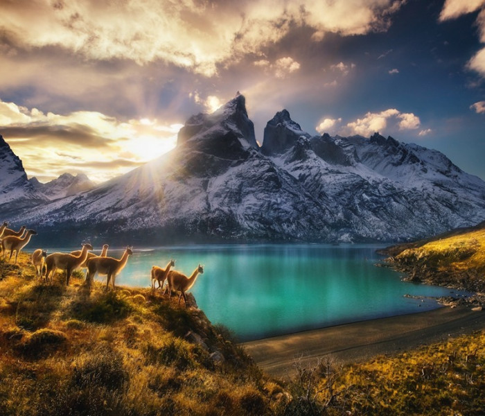 Puzzle - Heye - Guanaky