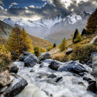 Puzzle - Heye - Horský potok