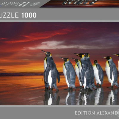 Královské tučňáky - Panoramatické puzzle