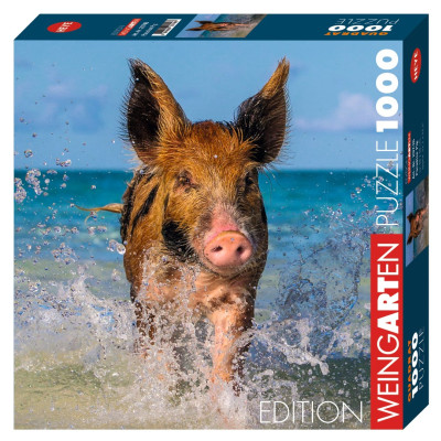 Prasátko na pláži