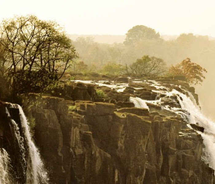 Puzzle - Heye - Slon - Panoramatické puzzle