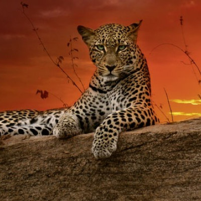 Svítání - Panoramatické puzzle