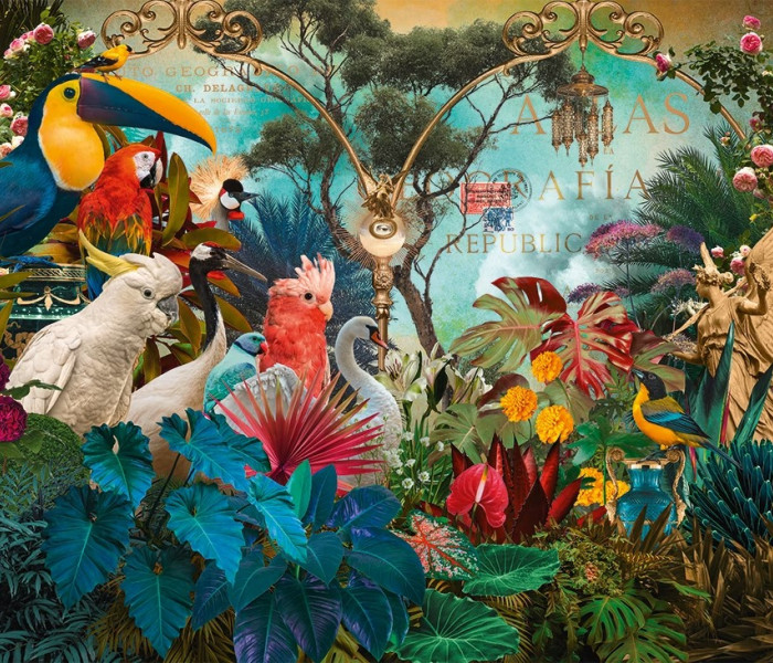 Puzzle - Heye - Ptačí rozmanitost