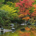 Puzzle - Heye - Zenová reflexe - Panoramatické puzzle