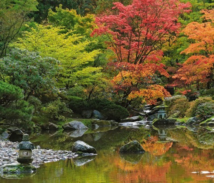 Puzzle - Heye - Zenová reflexe - Panoramatické puzzle