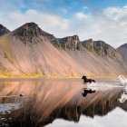 Puzzle - Heye - Islandští koně - Panoramatické puzzle