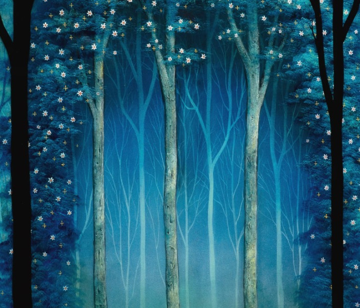 Puzzle - Heye - Lesní katedrála