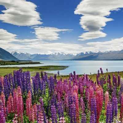 Jezero Tekapo, Nový Zéland - Panoramatické puzzle